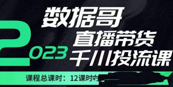 数据哥2023直播电商巨量千川付费投流实操课，快速掌握直播带货运营投放策略-福喜网创