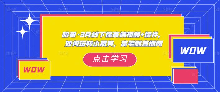 哈哥·3月线下实操课高清视频+课件，如何玩转小而美，高毛利直播间-福喜网创