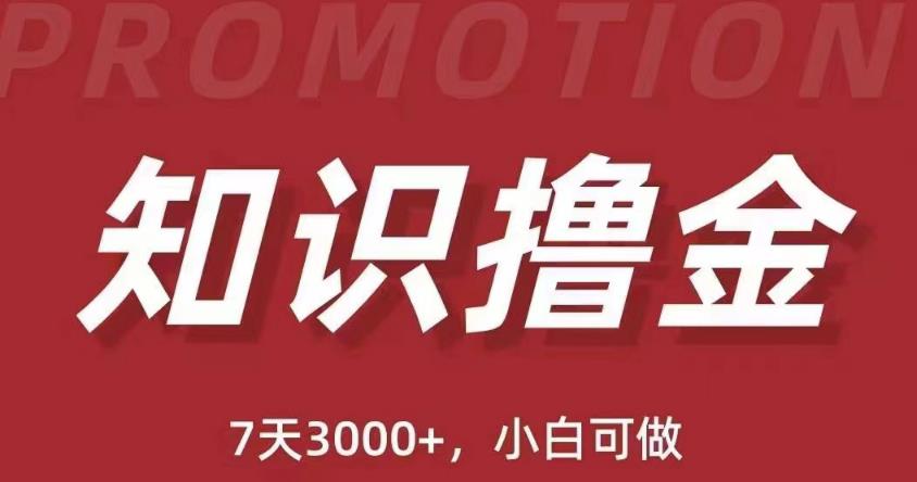 抖音知识撸金项目：简单粗暴日入1000+执行力强当天见收益(教程+资料)-福喜网创