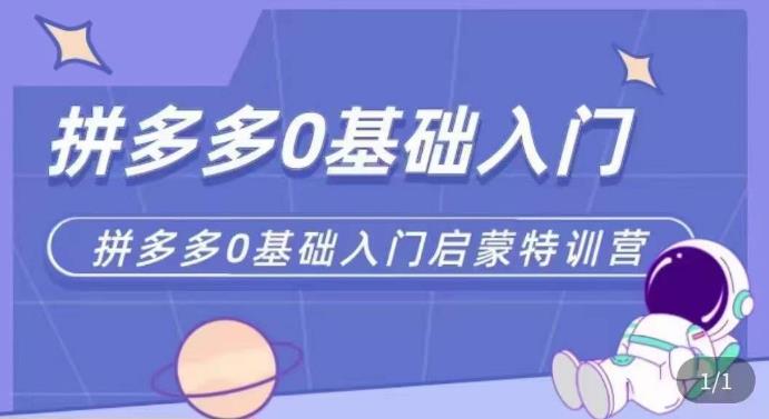 拼多多运营0-1实操特训营，拼多多0基础入门，从基础到进阶的可实操玩法-福喜网创