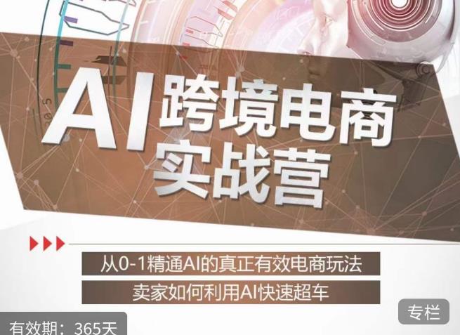 白龙老师·AI跨境电商实战营：从0-1精通Al的真正有效电商玩法，卖家如何利用Al快速超车-福喜网创