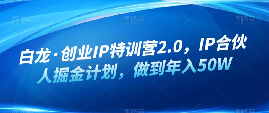 白龙·创业IP特训营2.0，IP合伙人掘金计划，做到年入50W-福喜网创