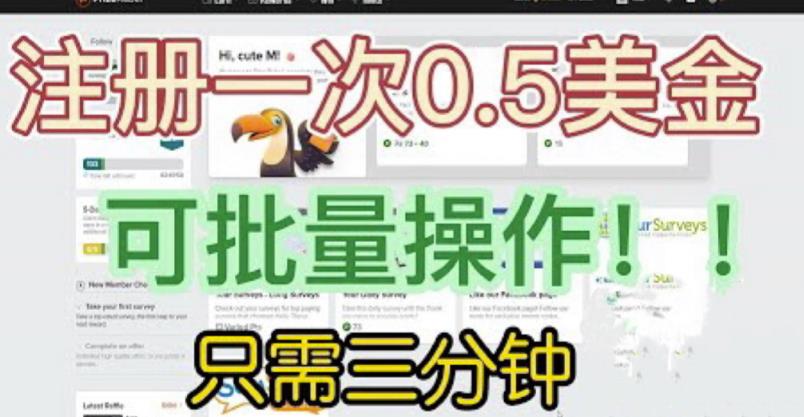 国外项目注册一次0.5美金，只需三分钟无脑操作，可批量同时放大操作，小白工作室福利【揭秘】-福喜网创