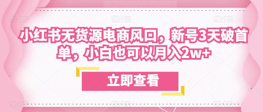 众狼电商余文小红书无货源电商风口，新号3天破首单，小白也可以月入2w+-福喜网创