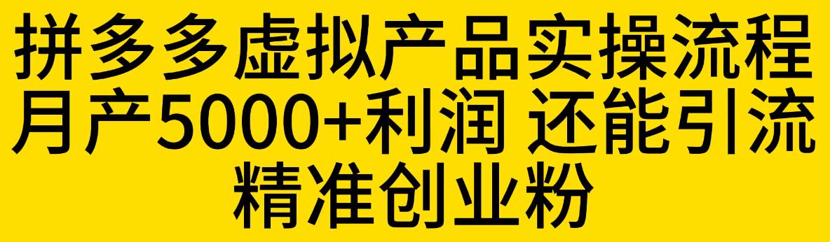 拼多多虚拟产品实操流程，月产5000+利润，还能引流精准创业粉【揭秘】-福喜网创