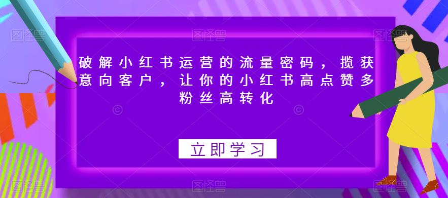 破解小红书运营的流量密码，揽获意向客户，让你的小红书高点赞多粉丝高转化-福喜网创