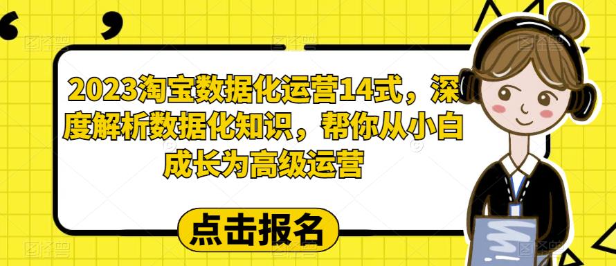 2023淘宝数据化运营14式，深度解析数据化知识，帮你从小白成长为高级运营-福喜网创