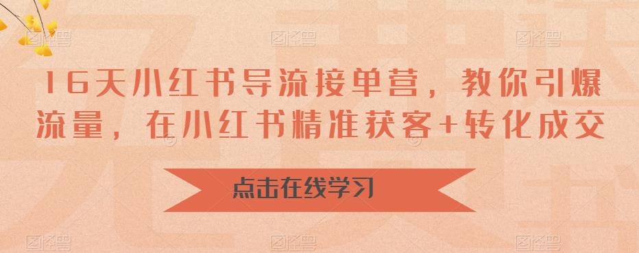 16天小红书导流接单营，教你引爆流量，在小红书精准获客+转化成交-福喜网创