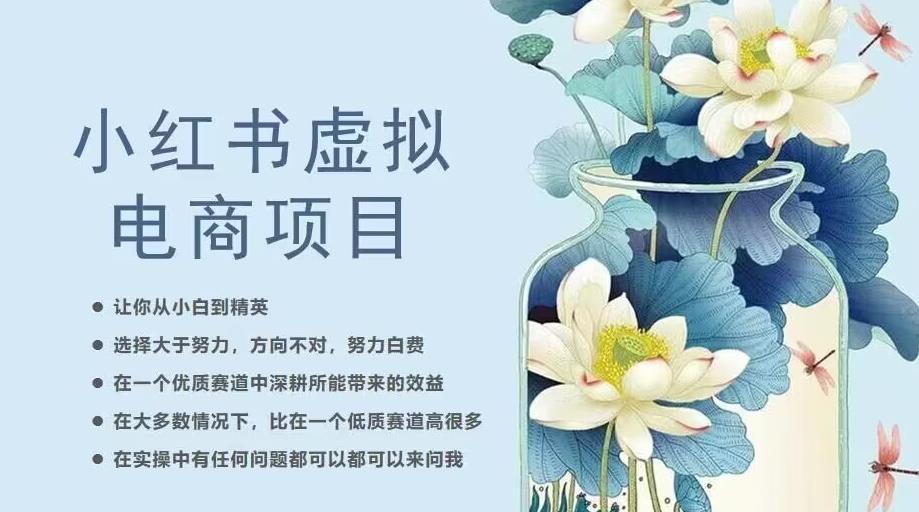 小红书虚拟电商从0到1，让你从小白到精英（20节实操课程）-福喜网创