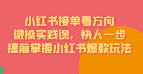 接单号方向·小红书微操实践课，快人一步，提前掌握小红书爆款玩法-福喜网创