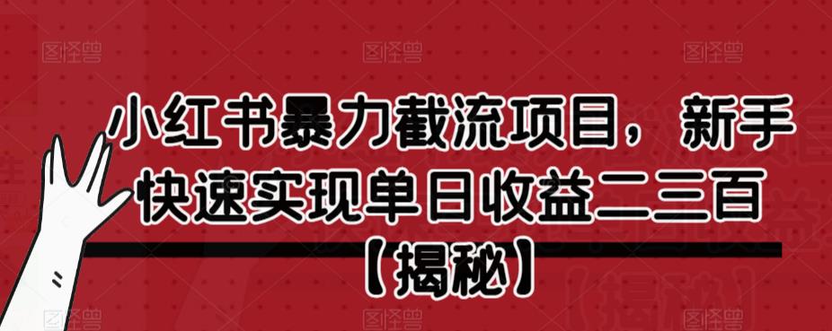 小红书暴力截流项目，新手快速实现单日收益二三百【仅揭秘】-福喜网创