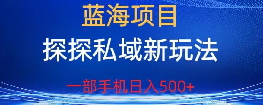 蓝海项目，探探私域新玩法，一部手机日入500+很轻松【揭秘】-福喜网创