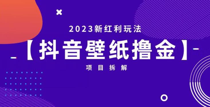 抖音壁纸小程序创作者撸金项目，2023新红利玩法【项目拆解】-福喜网创