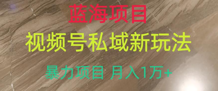 蓝海项目，视频号私域新玩法，暴力项目月入1万+【揭秘】-福喜网创