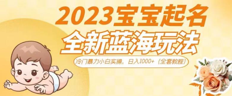 2023宝宝起名全新蓝海玩法，冷门暴力小白实操，日入1000+（全套教程）【揭秘】-福喜网创