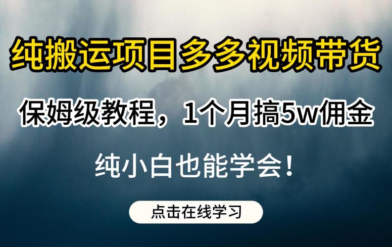 纯搬运项目多多视频带货保姆级教程，1个月搞5w佣金，纯小白也能学会【揭秘】-福喜网创