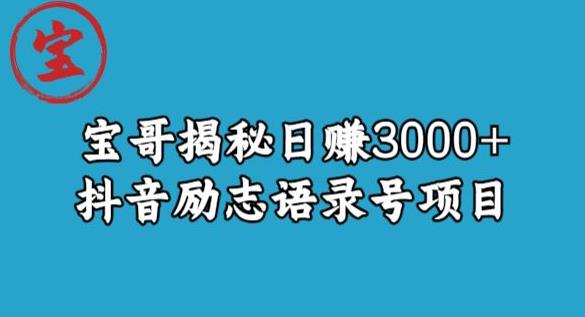 宝哥揭秘日赚3000+抖音励志语录号短视频变现项目-福喜网创