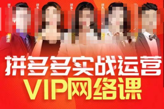 推易拼多多VIP全套直播课程，拼多多店铺实操玩法+实战玩法选款内功+直通车高阶等-福喜网创