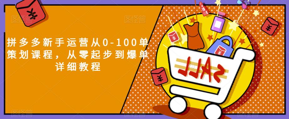 拼多多新手运营从0-100单策划课程，从零起步到爆单详细教程-福喜网创