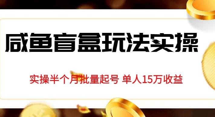 独家首发咸鱼盲盒玩法实操，半个月批量起号单人15万收益【揭秘】-福喜网创