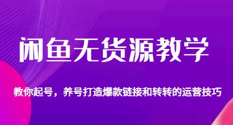 闲鱼无货源教学，教你起号，养号打造爆款链接以及转转的运营技巧-福喜网创