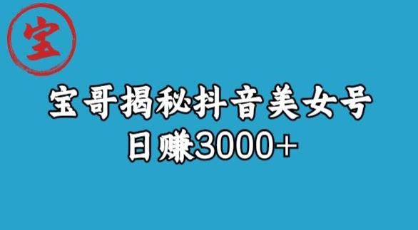 宝哥揭秘抖音美女号玩法，日赚3000+【揭秘】-福喜网创