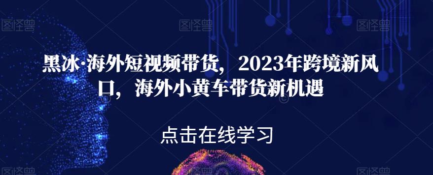 黑冰·海外短视频带货，2023年跨境新风口，海外小黄车带货新机遇-福喜网创