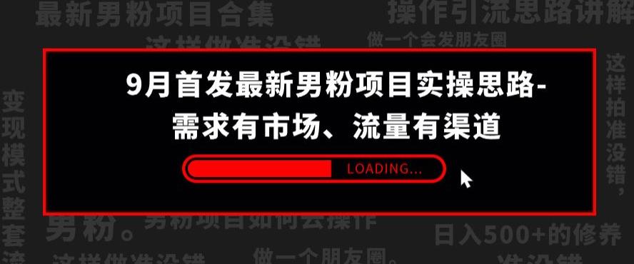 9月首发最新男粉项目实操思路-需求有市场，流量有渠道【揭秘】-福喜网创