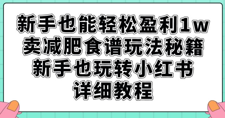 新手也能轻松盈利1w，卖减肥食谱玩法秘籍，新手也玩转小红书详细教程【揭秘】-福喜网创