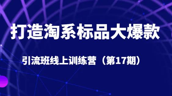 打造淘系标品大爆款引流班线上训练营（第17期）5天直播授课-福喜网创