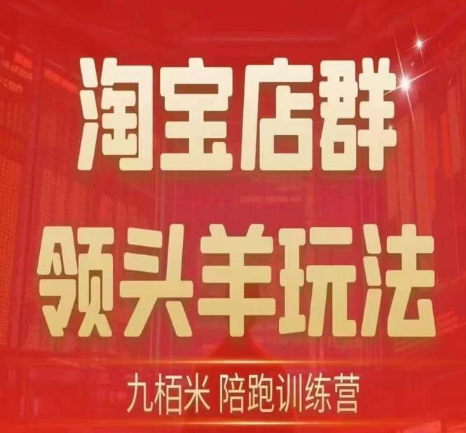 九栢米-淘宝店群领头羊玩法，教你整个淘宝店群领头羊玩法以及精细化/终极蓝海/尾销等内容-福喜网创