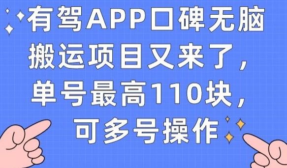 有驾APP口碑无脑搬运项目又来了，单号最高110块，可多号操作-福喜网创