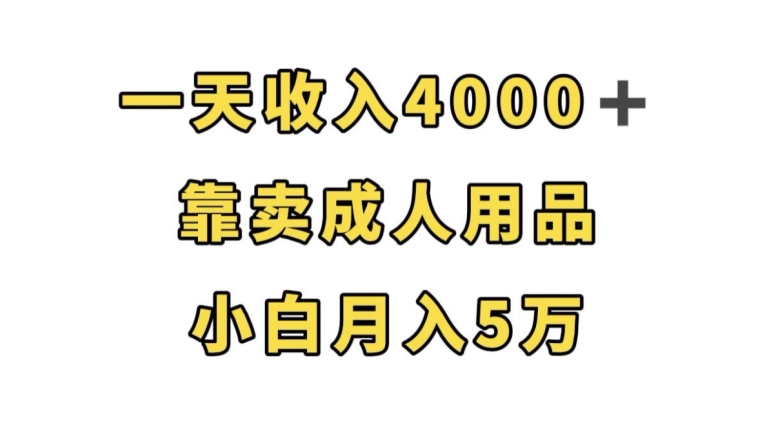 一天收入4000+，靠卖成人用品，小白轻松月入5万【揭秘】-福喜网创