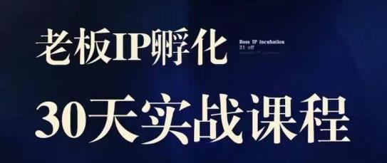 诸葛·2023老板IP实战课，实体同城引流获客，IP孵化必听-福喜网创