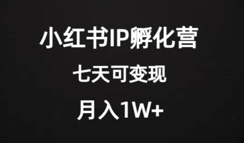 价值2000+的小红书IP孵化营项目，超级大蓝海，七天即可开始变现，稳定月入1W+-福喜网创