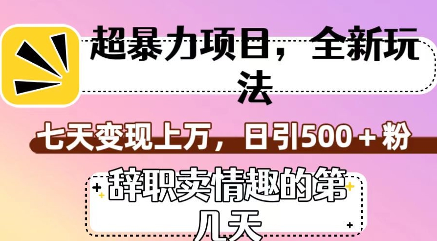 超暴利项目，全新玩法（辞职卖情趣的第几天），七天变现上万，日引500+粉【揭秘】-福喜网创