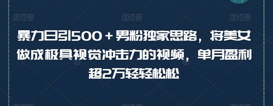 暴力日引500＋男粉独家思路，将美女做成极具视觉冲击力的视频，单月盈利超2万轻轻松松-福喜网创