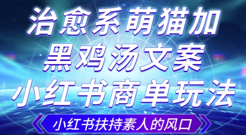 治愈系萌猫加+黑鸡汤文案，小红书商单玩法，3~10天涨到1000粉，一单200左右-福喜网创