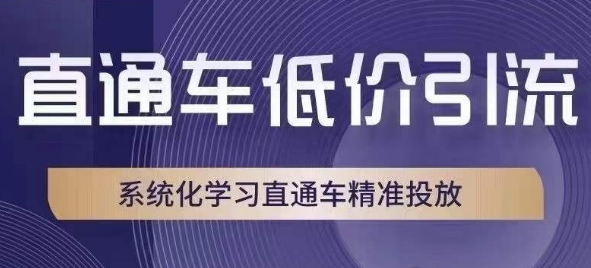 直通车低价引流课，系统化学习直通车精准投放-福喜网创