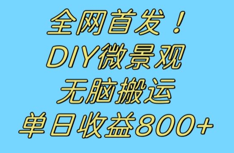 全网首发冷门赛道！DIY微景观，无脑搬运视频，日收益800+【揭秘】-福喜网创