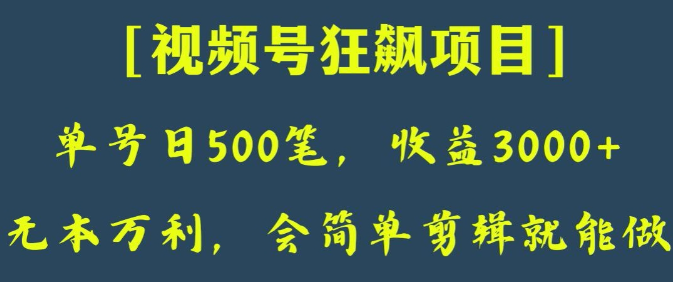 日收款500笔，纯利润3000+，视频号狂飙项目，会简单剪辑就能做【揭秘】-福喜网创