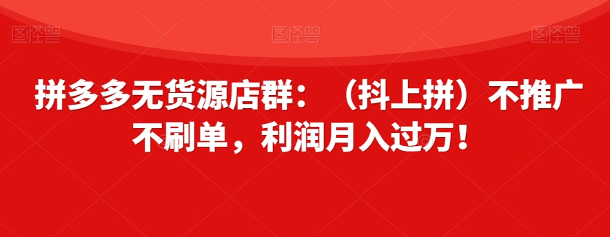 拼多多无货源店群：（抖上拼）不推广不刷单，利润月入过万！【揭秘】-福喜网创