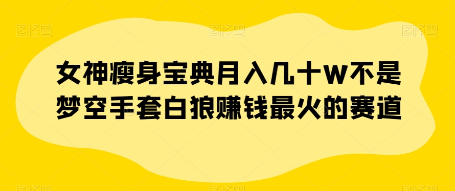 女神瘦身宝典月入几十W不是梦空手套白狼赚钱最火的赛道【揭秘】-福喜网创