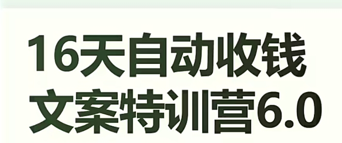 16天自动收钱文案特训营6.0，学会儿每天自动咔咔收钱-福喜网创