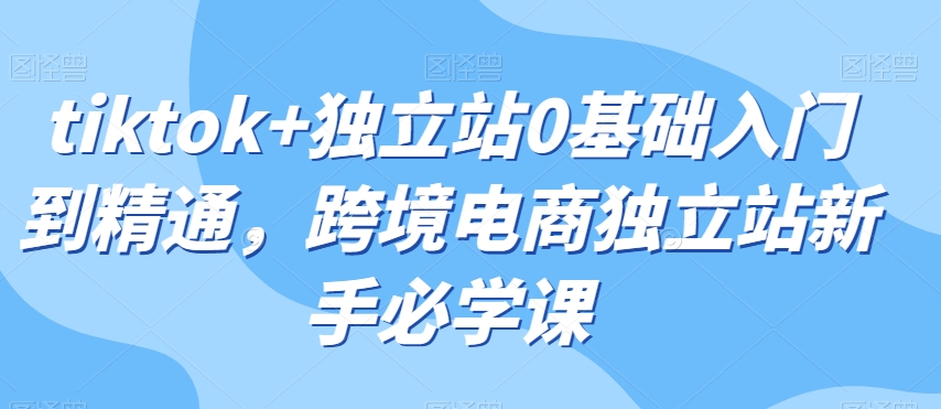 tiktok+独立站0基础入门到精通，跨境电商独立站新手必学课-福喜网创