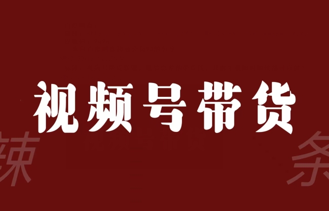 视频号带货联盟，赚信息差的带货钱，只需手机随时随地都可以做！-福喜网创