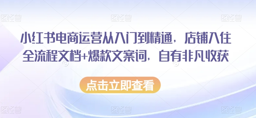 小红书电商运营从入门到精通，店铺入住全流程文档+爆款文案词，自有非凡收获-福喜网创