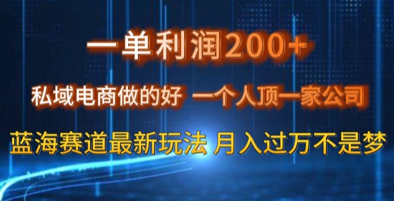 一单利润200私域电商做的好，一个人顶一家公司蓝海赛道最新玩法【揭秘】-福喜网创