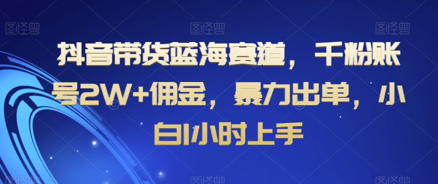 抖音带货蓝海赛道，千粉账号2W+佣金，暴力出单，小白1小时上手【揭秘】-福喜网创