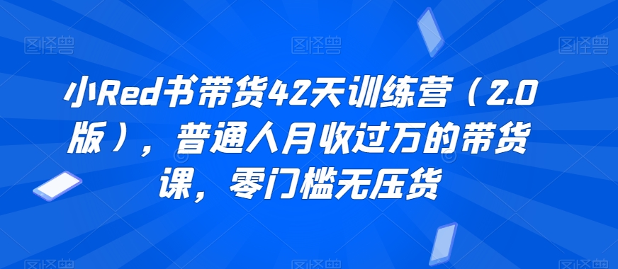 小Red书带货42天训练营（2.0版），普通人月收过万的带货课，零门槛无压货-福喜网创